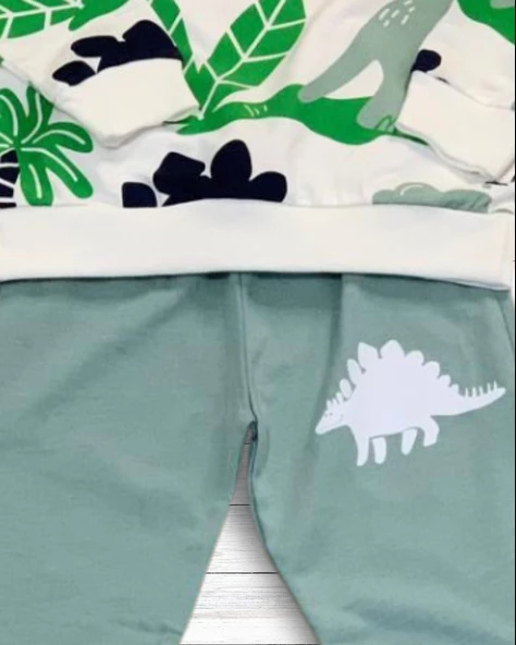 Dinozor Baskılı Günlük Mevsimlik Renkli Erkek Alt Üst Takım (Yeşil) - Resim 5