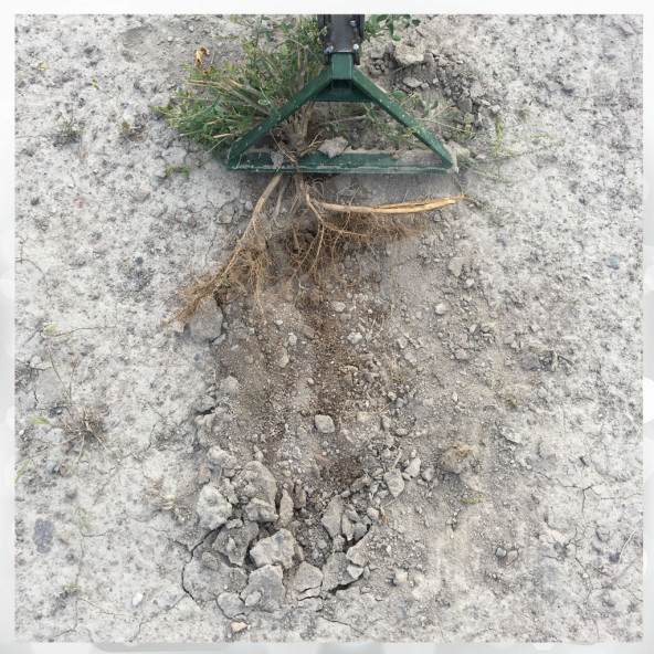 Çapa Arabası Manuel Çapa Aleti Çapamatik Ot Yolma Karık Açma Çapalama Bahçe Seti - 5