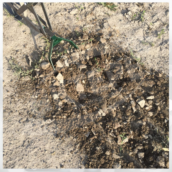 Çapa Arabası Manuel Çapa Aleti Çapamatik Ot Yolma Karık Açma Çapalama Bahçe Seti - 6