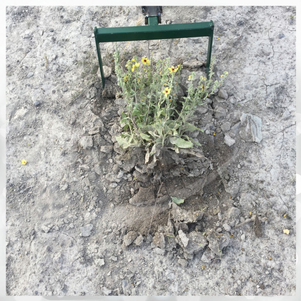 Dörtgen Bıçaklı Ot Sürme Arabası Ot Yolma Makinesi Ot Kesme Aleti Bahçe Ot Çim Biçme Kopartma Aracı - 2