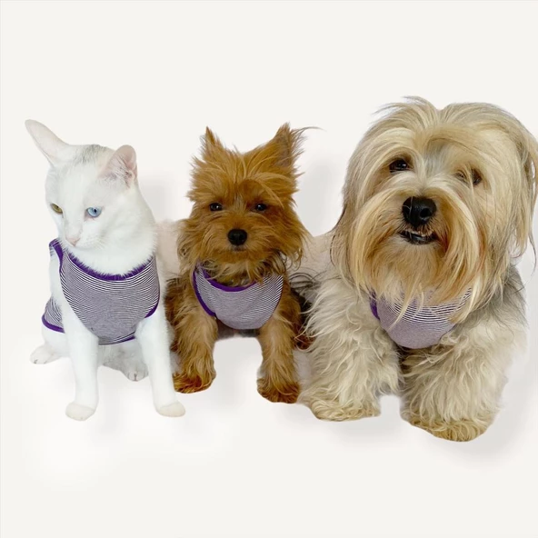 Purple Stripe Atlet By Kemique Kedi Kıyafeti Kedi Elbise - 7