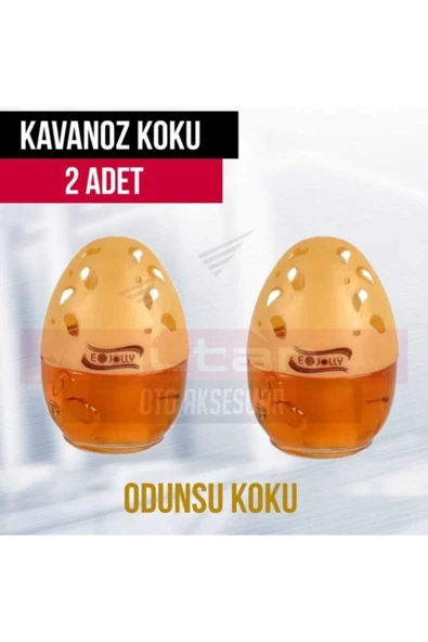 E-JOLLY 100 Ml Kavanoz Koku Odunsu 2 Adet