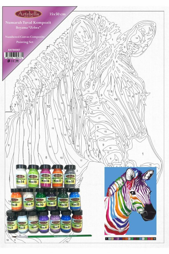 Sayılarla Boyama Tuval Seti - Zebra (35x50 cm) - 5