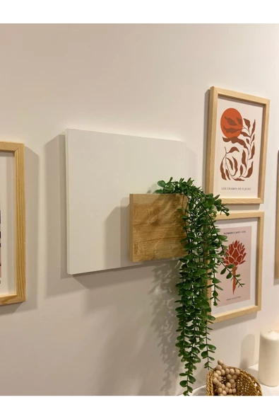 Egecan Mobilya Bohem Model Uçan Duvar Rafı Saksılık Çiçeklik İskandinav Duvar Saksısı