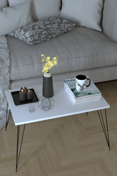 Egecan Mobilya Beyaz Orta Sehpa Salon Oturma Odası Mobilya Orta Sehpa Salon Sehpası Oturma Odası Sehpası - 2