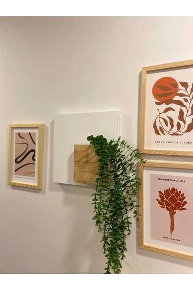 Egecan Mobilya Bohem Model Uçan Duvar Rafı Saksılık Çiçeklik İskandinav Duvar Saksısı - 2