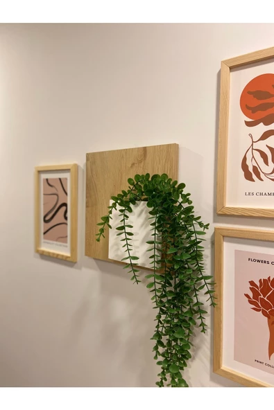 Egecan Mobilya Bohem Model Uçan Duvar Rafı Saksılık Çiçeklik İskandinav Duvar Saksısı - 2