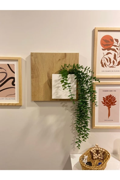 Egecan Mobilya Bohem Model Uçan Duvar Rafı Saksılık Çiçeklik İskandinav Duvar Saksısı - 3