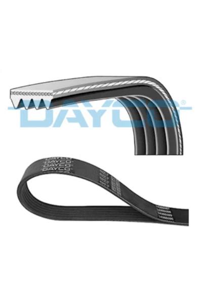 DAYCO Vantılator Kayısı ( Ford: Transıt T.12 / T.15 2.5 D 93-99 )