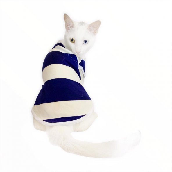 Mega Cream Stripe Atlet  by Kemique  Kedi Kıyafeti  Kedi Elbise