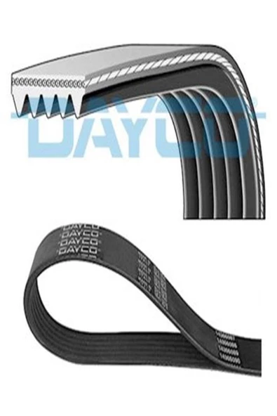 DAYCO 5pk835 Kanalli V Kayisi ( Bmw: 318d 320d E46 520d E39 ) 5990578 9936580840 (WA759459)