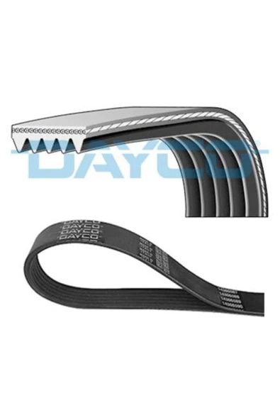 DAYCO Kanallı V Kayısı