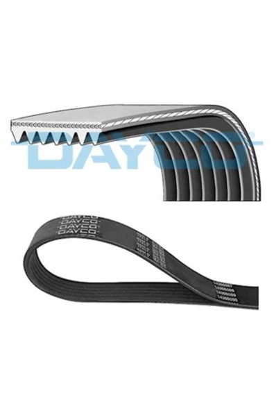 DAYCO KANALLI V KAYISI ( RENAULT  ESPACE 2.2 DCI 11.02-/ / LANDROVER  DISCOVERY 4.0 98-04 )