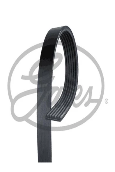 GATES 6pk2490 Kanalli V Kayis 059903137t 6e903137r (WA924914)