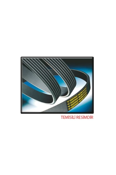 CONTITECH Contınental 6pk831elast Kanallı Kayış Ford Transit 2.0tdc-tdcı 00-06 Mv Xf Stretch-fıt Ford