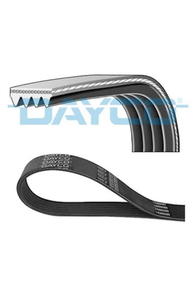 DAYCO KANALLI V KAYISI ( RENAULT  SAFRANE I 3.0 V6 / CHRYSLER  NEON II 2.0 )
