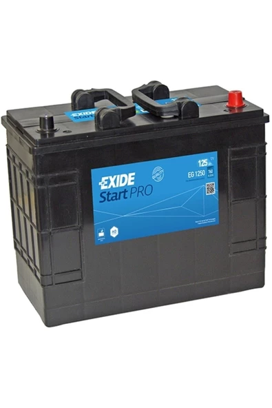 EXIDE EG1250 125Ah 760A 349x175x285 (mm)