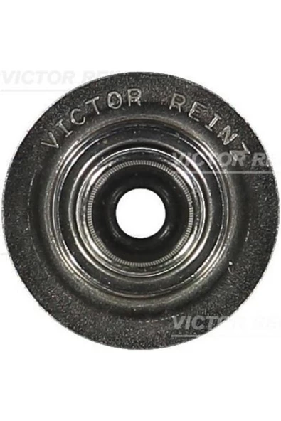 VICTOR REINZ CONTA