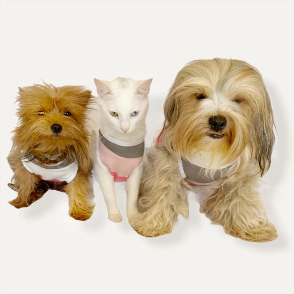 Mega Stripes Atlet  by Kemique  Kedi Kıyafeti Kedi Elbise - 7