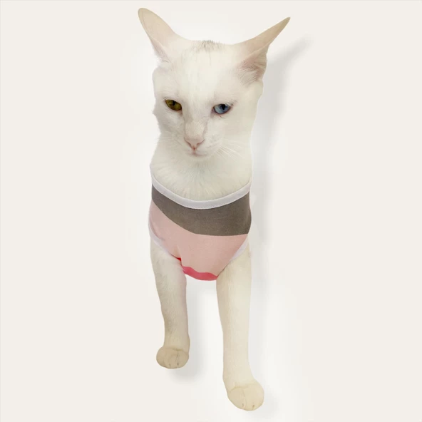 Mega Stripes Atlet  by Kemique  Kedi Kıyafeti Kedi Elbise - 3