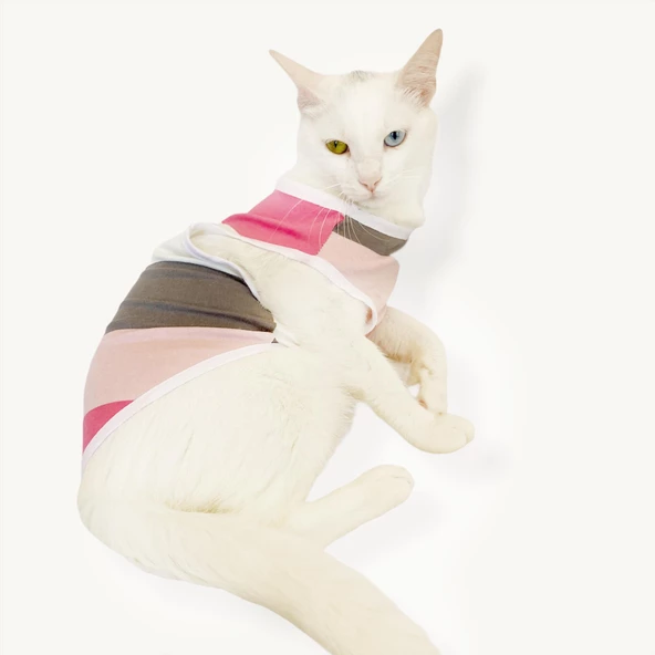 Mega Stripes Atlet  by Kemique  Kedi Kıyafeti Kedi Elbise - 2