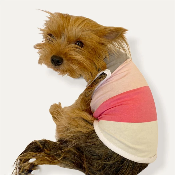 Mega Stripes Atlet by Kemique Köpek Kıyafeti  Köpek Elbise - 5