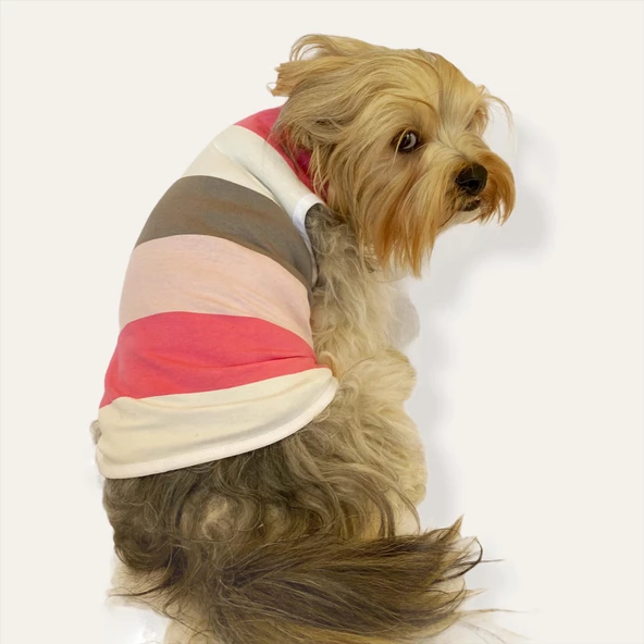 Mega Stripes Atlet by Kemique Köpek Kıyafeti  Köpek Elbise - 2