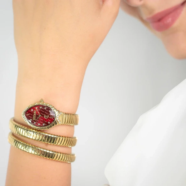 Just Cavalli JC1L323M0035 Kadın Kol Saati ürün görseli