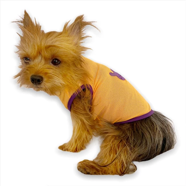 Lakers  Atlet by Kemique Köpek Kıyafeti Köpek Elbise - Resim 2