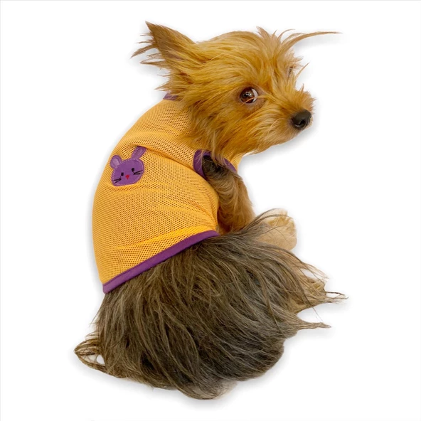 Lakers  Atlet by Kemique Köpek Kıyafeti Köpek Elbise ürün görseli