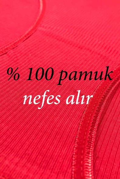 12 Adet Fitilli Pamuklu Kadın Kaşkorse Bikini Külot - Resim 2