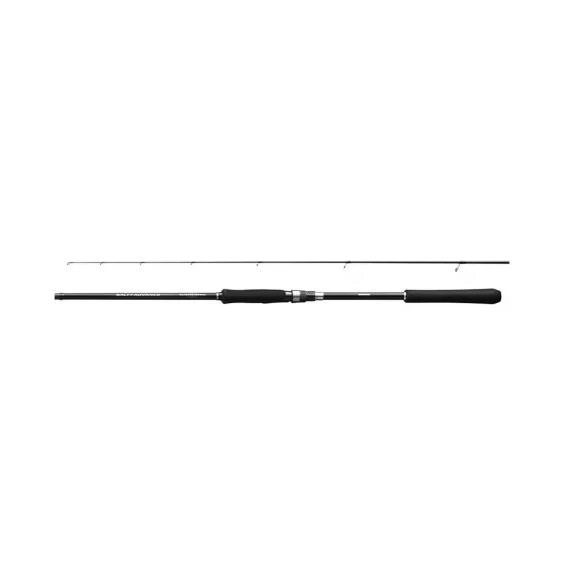 Rod Salty Advance Spinning SeaBass2,74m 9'0''6-32g