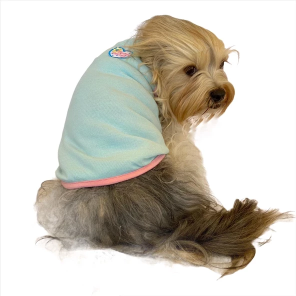 Minty Flower Power  Atlet by Kemique Köpek Kıyafeti Köpek Elbise - 2
