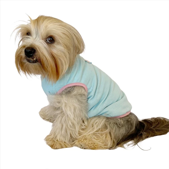 Minty Flower Power  Atlet by Kemique Köpek Kıyafeti Köpek Elbise - 3