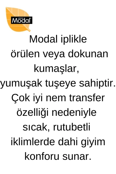 Berrak Erkek Modal V Yaka Kısa Kol Badi Tişört 1037 - 4