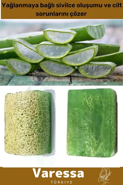 Premium Seri %100 Organik Bitkisel Cilt Orijinal Nemlendirici Kabak Lifi Vegan 3'lü Aloe Vera Sabunu - 2