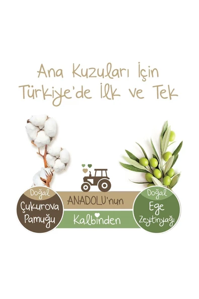 Baby Turco Baby Turco Doğadan Ekonomik Fırsat Paketi Bebek Bezi 3 Numara Midi 84 Adet - 5