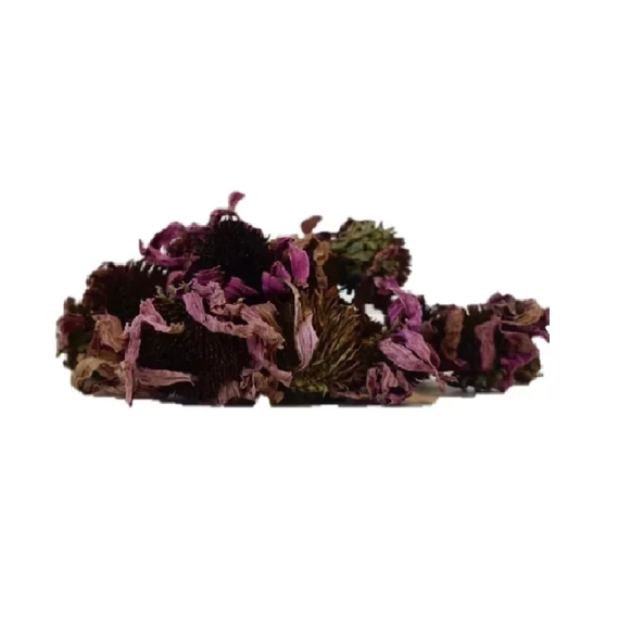 Ekinezya çiçeği (Echinacea Angustifolia) 500 gr, Derya Eren - 2