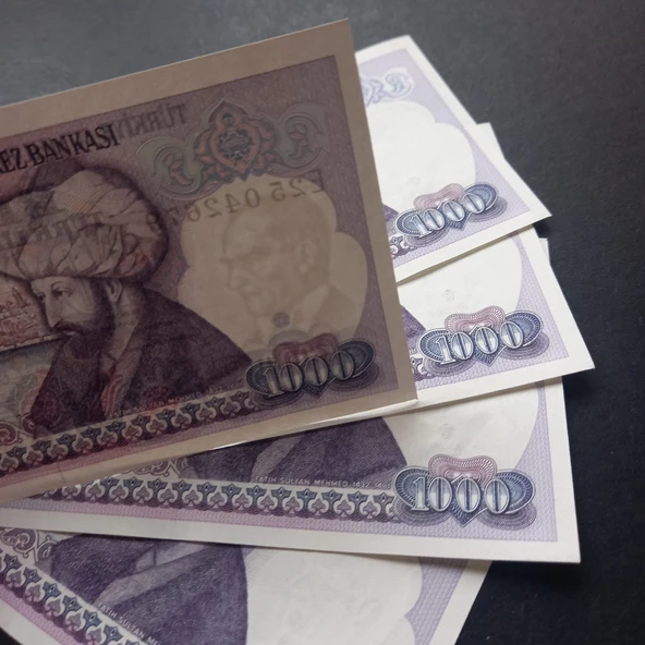 Escoines Koleksiyon 399636712dc2547290 7.Emisyon 1Tertip 1000Türk Lirası Seri takipli ÇİL kağıt para - 3