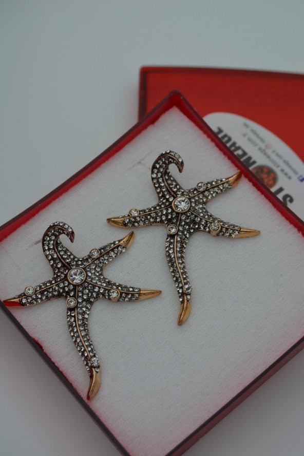 STONEAGE Deniz Yıldızı Zirkon Taşlı Bayan Küpe - Resim 2