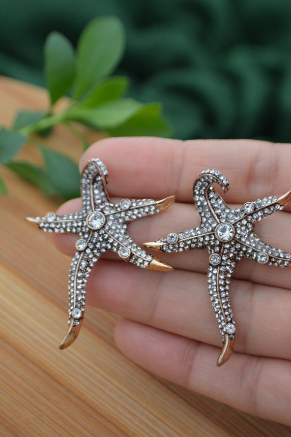 STONEAGE Deniz Yıldızı Zirkon Taşlı Bayan Küpe - Resim 4