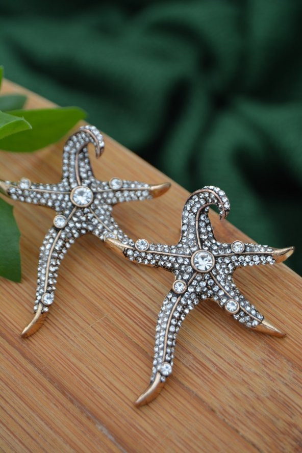 STONEAGE Deniz Yıldızı Zirkon Taşlı Bayan Küpe - Resim 5