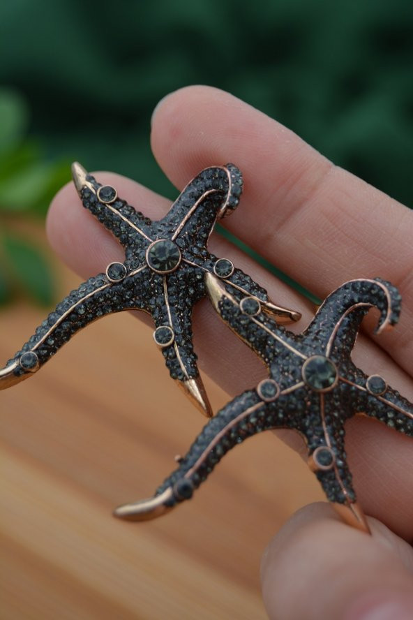 STONEAGE Deniz Yıldızı Zirkon Taşlı Bayan Küpe Madeni Bronz - Resim 2