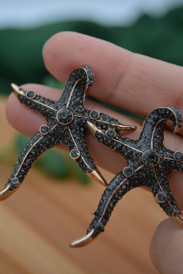 STONEAGE Deniz Yıldızı Zirkon Taşlı Bayan Küpe Madeni Bronz - Resim 3