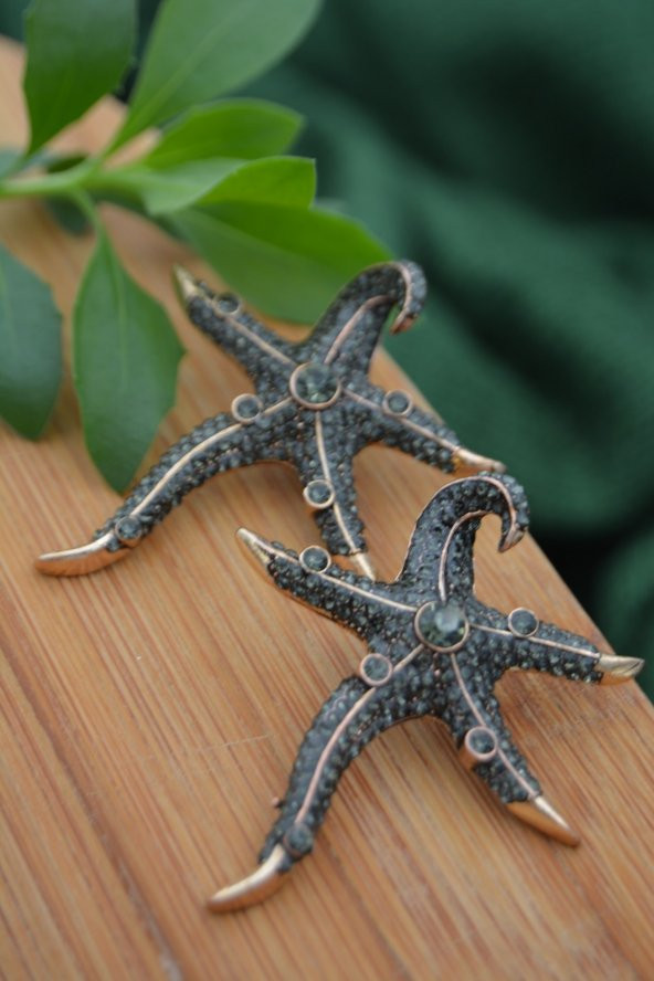 STONEAGE Deniz Yıldızı Zirkon Taşlı Bayan Küpe Madeni Bronz - Resim 4