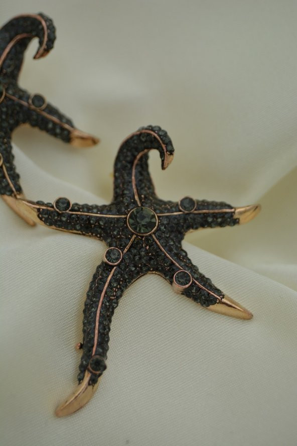 STONEAGE Deniz Yıldızı Zirkon Taşlı Bayan Küpe Madeni Bronz - Resim 5