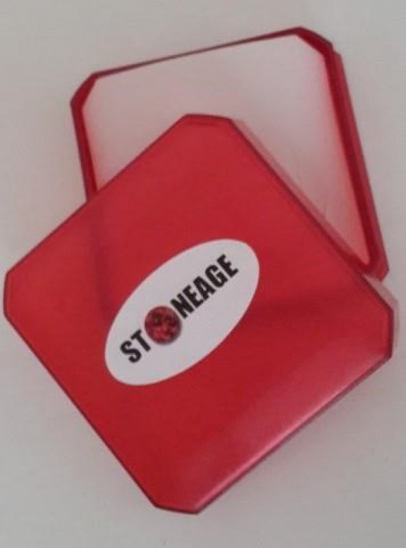 STONEAGE Gerçek Çiçek El Yapımı Bayan Yaşayan Kolye - Resim 9