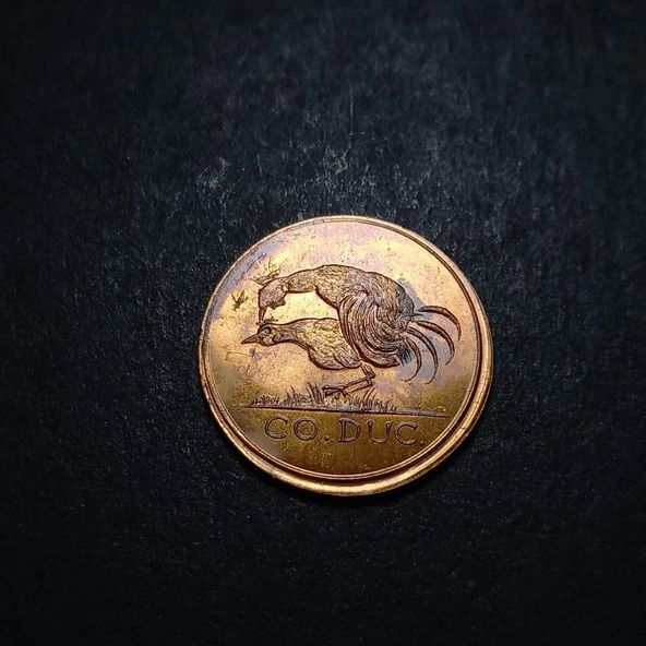 Escoines Koleksiyon 9f309f332b Co.Duc Cosel-Gedenk-Dukat Hatıra Madalyon 2.6 Gr. / 20 mm Nadir çıkar - Resim 4