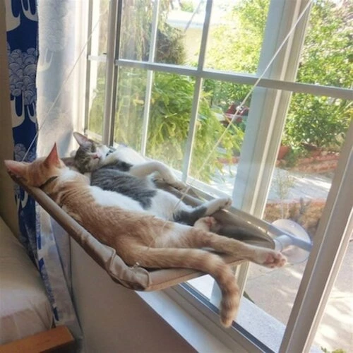 Cama Asılan Kedi Yatağı - 4