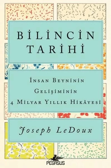 Bilincin Tarihi: İnsan Beyninin Gelişiminin 4 Milyar Yıllık Hikayesi ürün görseli